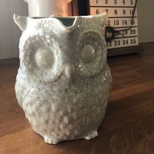 Ceramic Owl pitcher